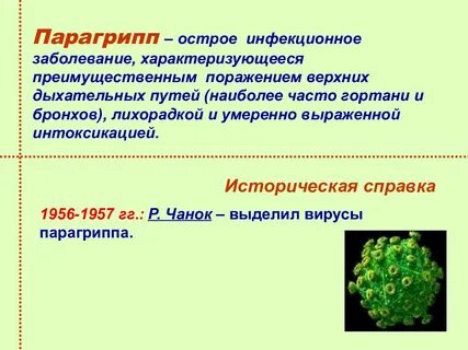 Грипп и парагрипп презентация