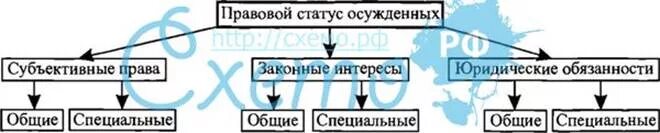 Характеристика законного интереса. Обязанности осужденного. Правовое положение осужденных схема. Правовой статус осужденных схема.