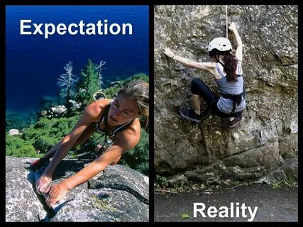 Expectation reality