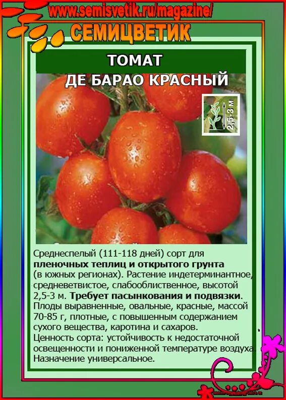 Помидоры де Барао красный описание сорта. Помидоры де Барао описание сорта. Сорт помидор де Барао. Сорт томатов де Барао.