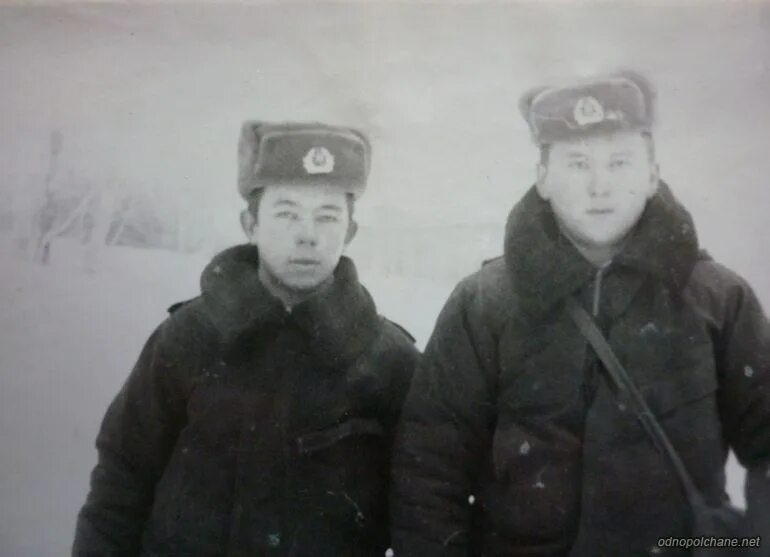 армейские сослуживцы. сослуживцы. сослуживцы видео. сослуживцы по армии. армейские сослуживцы.