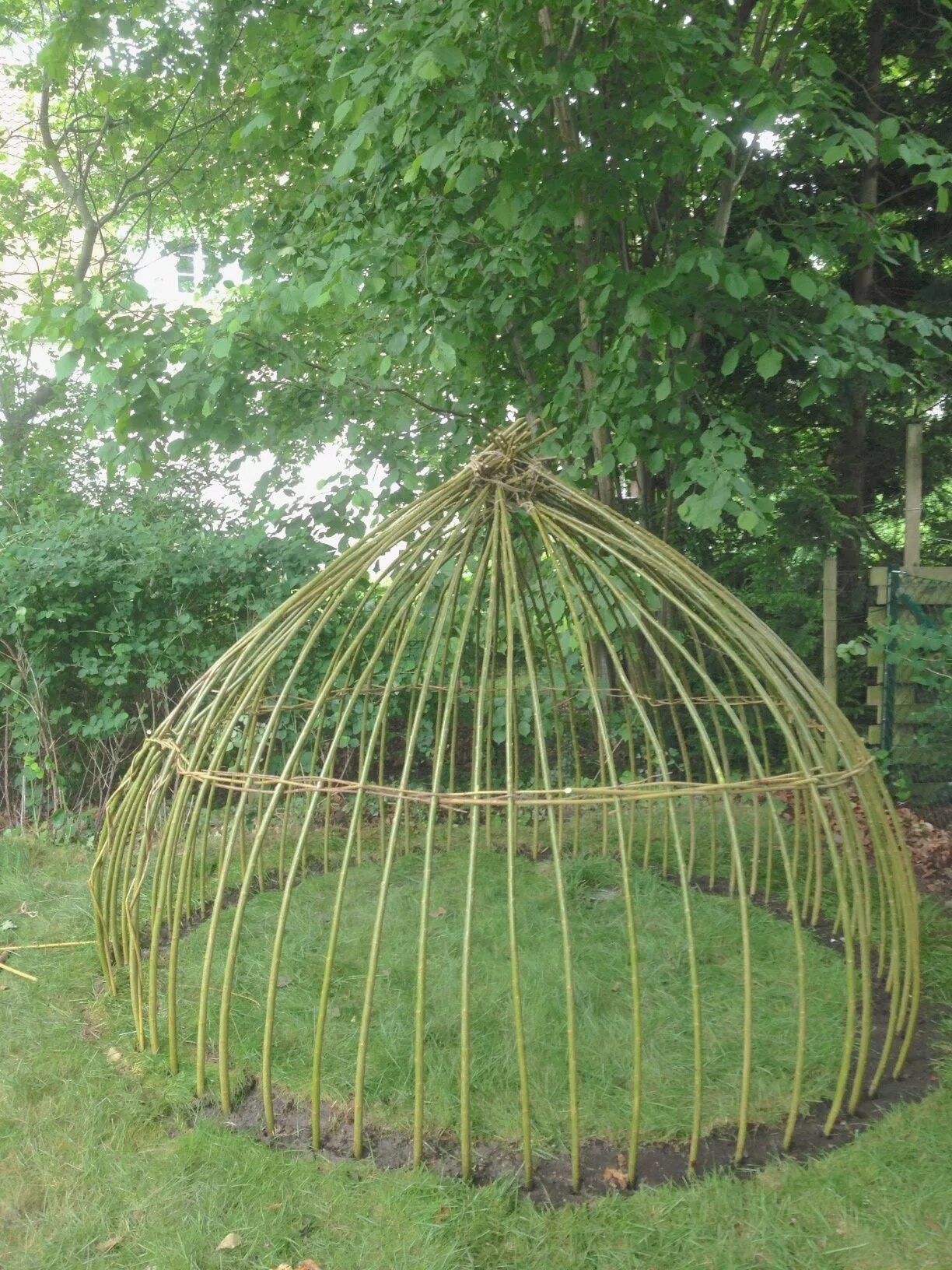 Каркас из прутьев. Беседка из ивы. беседка плетеная из прутьев. беседка из ивовых прутьев. плетеный шалаш.