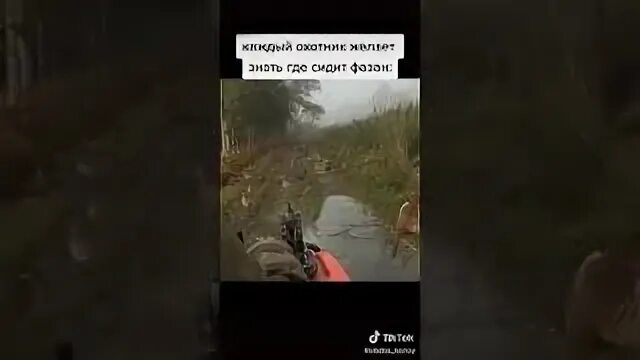 Каждый охотник желает тарков