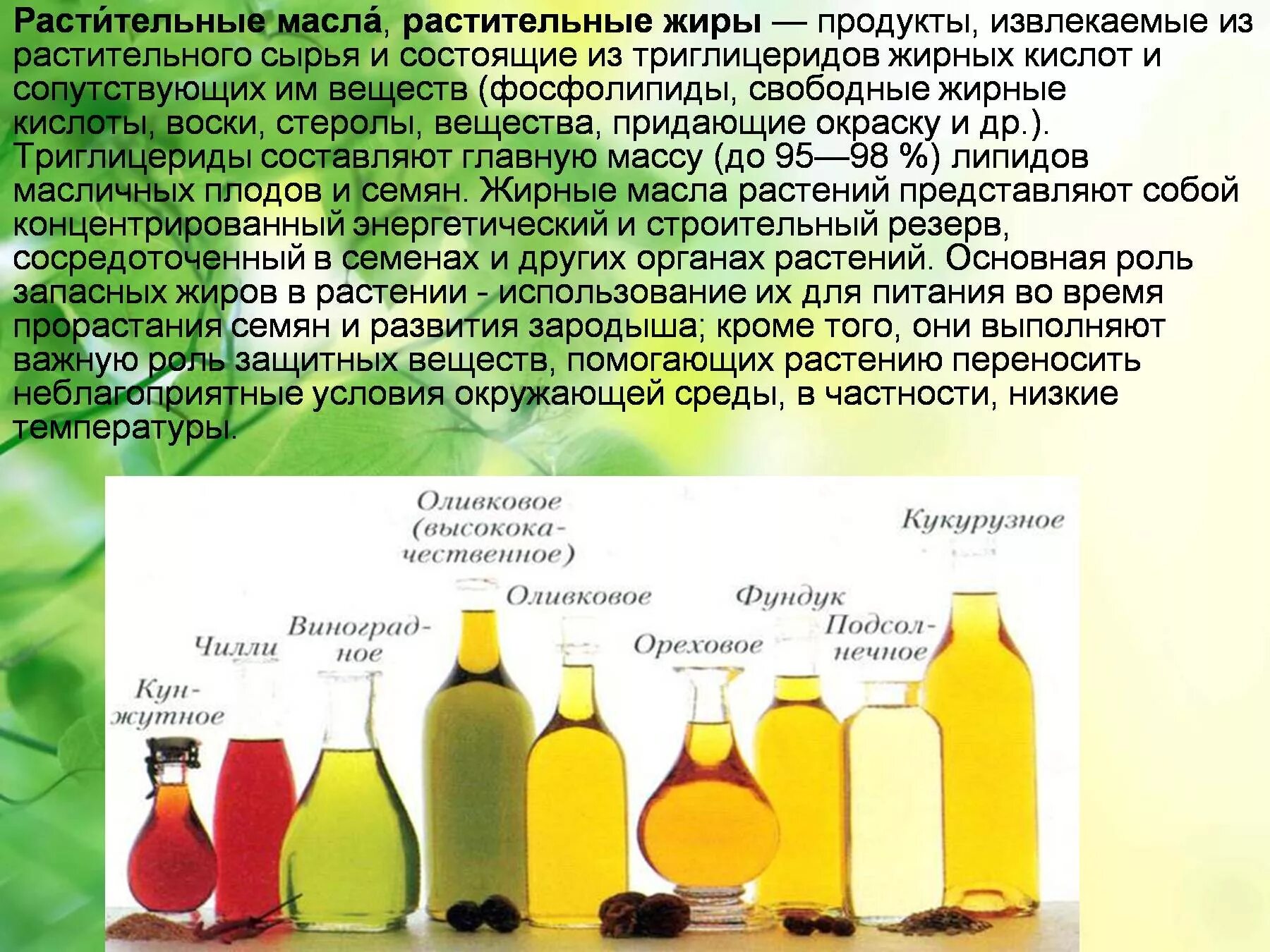 Растительные жиры подсолнечное масло. Растительные жиры состоят из. Из чего состоит растительный жир. Сложные эфиры масла