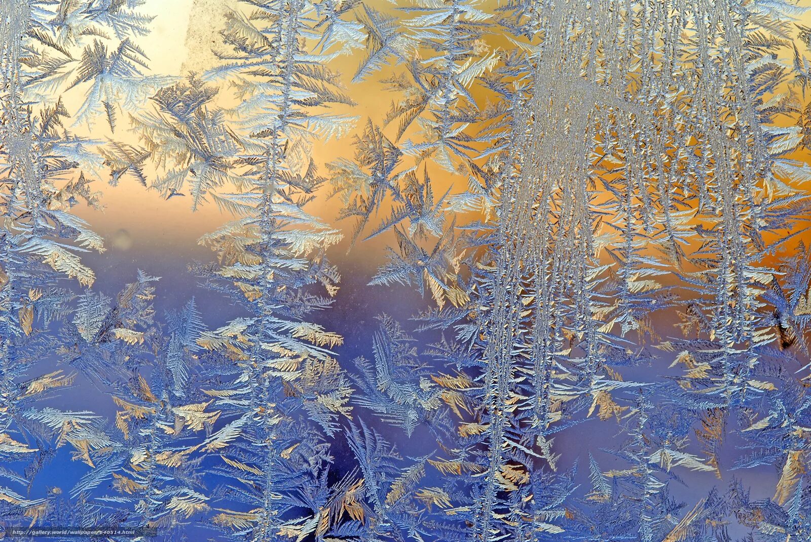Морозные узоры на стекле. Морозные узоры на окне. Морозное окно.
