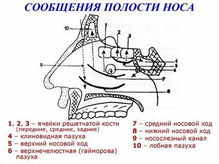 Верхние ходы