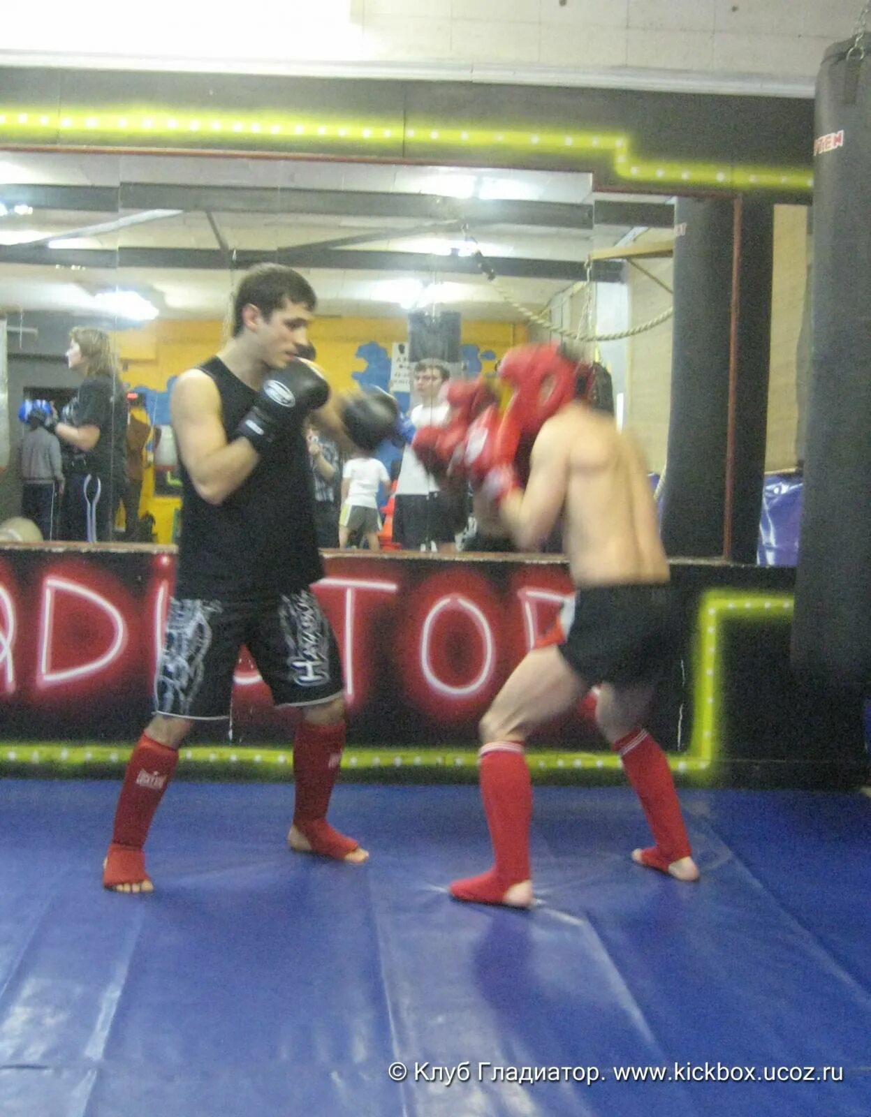 Шорты для кикбоксинга green hill гладиатор. Гладиатор кикбоксинг белгород. Симонов клуб кикбоксинг. Гладиатор кикбоксинг белгород. Школа 3 спортивная белгород.