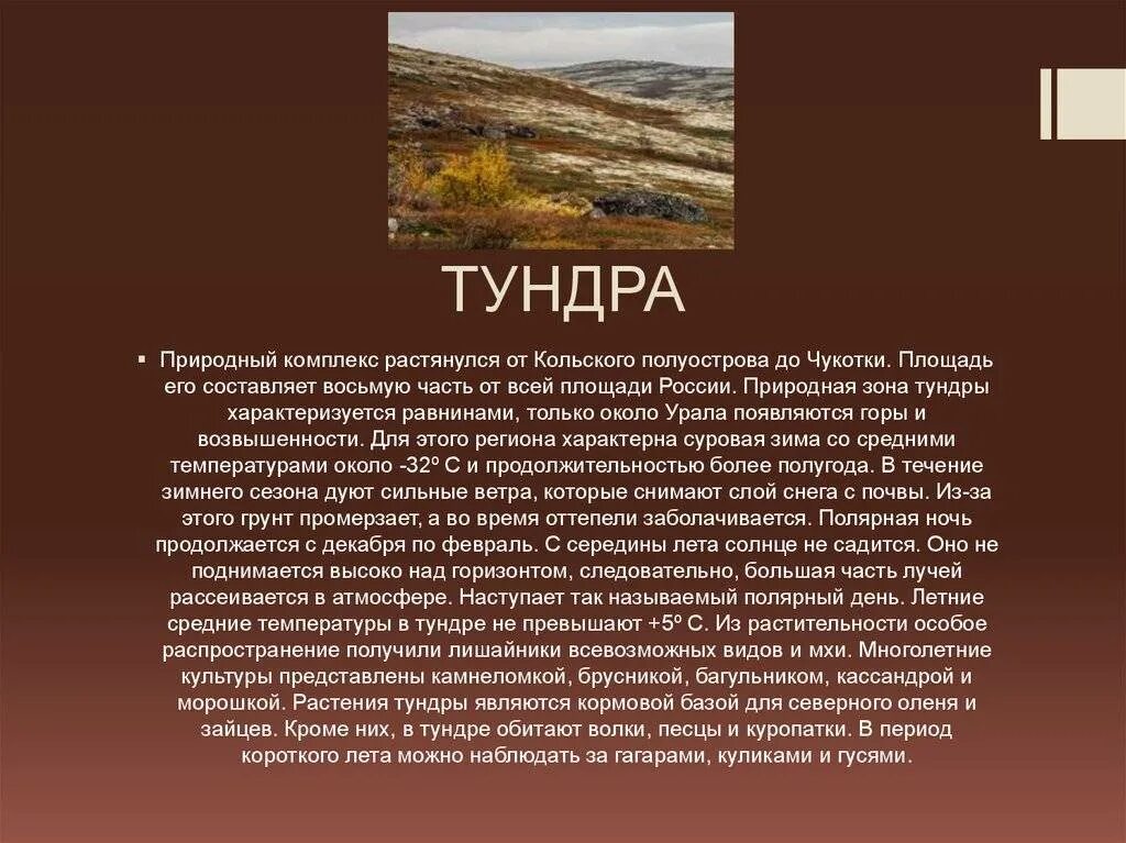 Характеристика тундры в россии. Характеристика зоны тундры. Тундра описание природной зоны. Природные зоны России тундра климат. Характєрістіка тундрв.