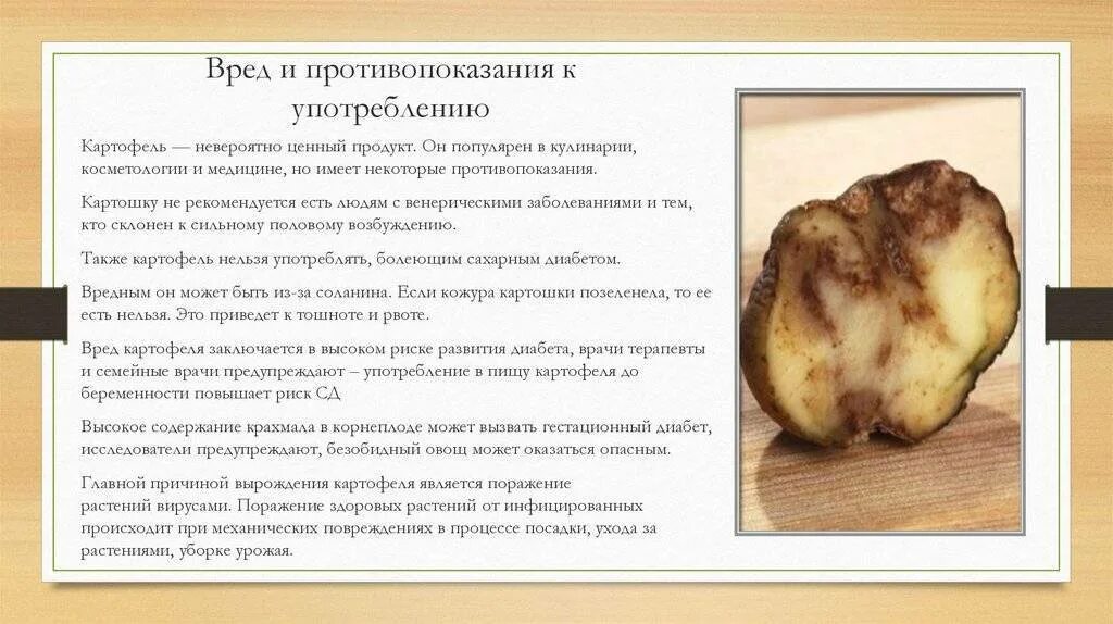 Почему ем сырую картошку