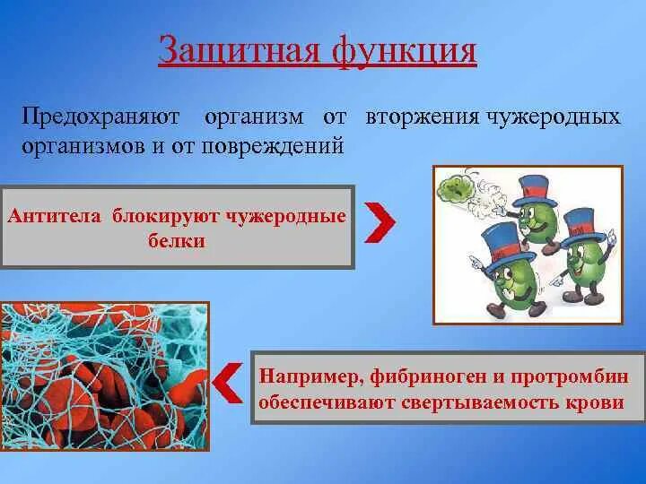 Защитную роль