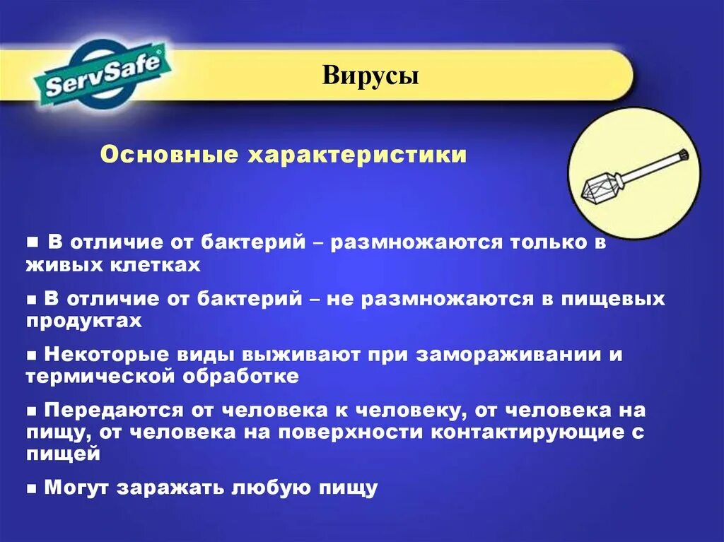 Как отличить вирусную. Основное отличие вирусов от бактерий. Отличие вируса от бактерии. Основные отличия вирусов от бактерий. Бактерии и вирусы отличия.