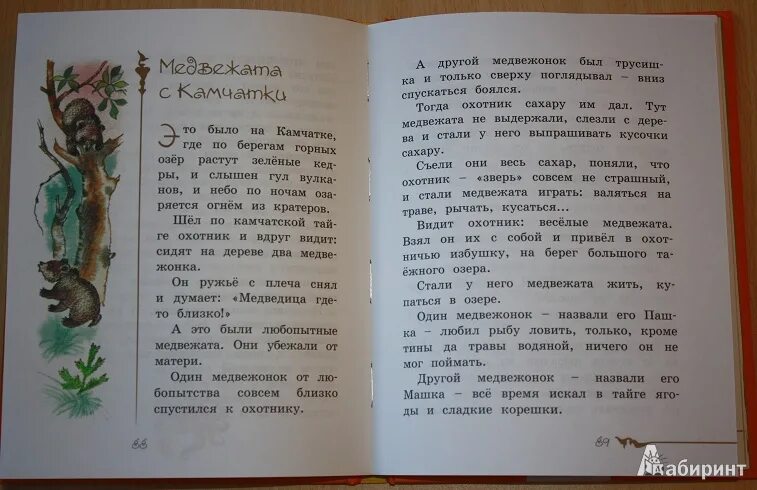 Снегирев г. "хитрый бурундук". Рассказ Лось Снегирева. Иллюстрации к рассказу хитрый бурундук Снегирев Автор. Снегирев рассказы текст