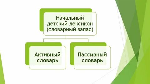Пассивный словарь ребенка