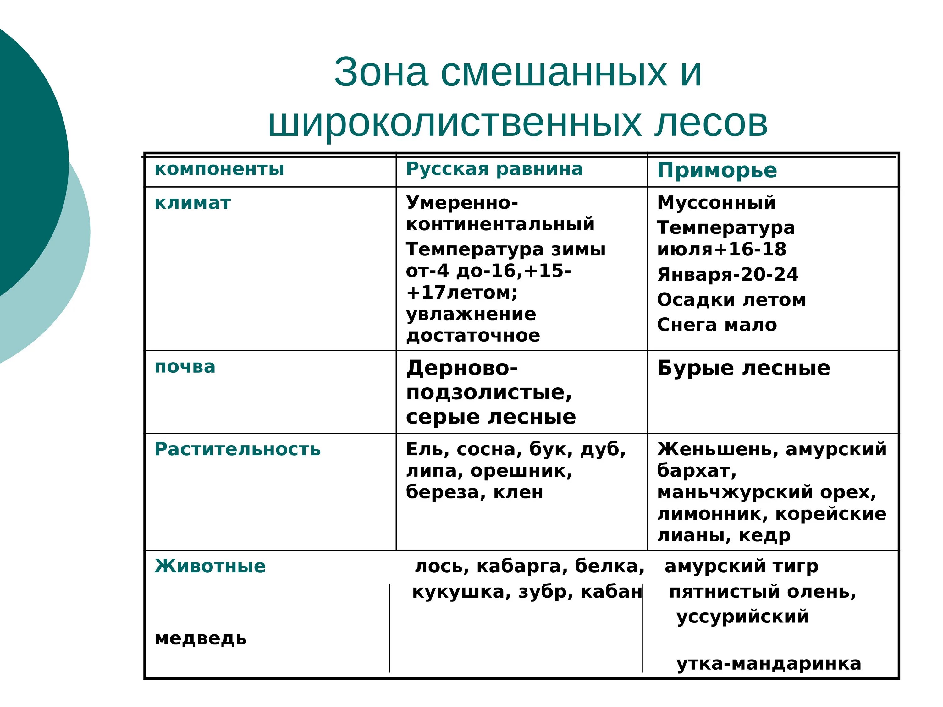 Природная зона смешанные и широколиственные леса таблица