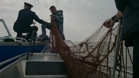 Вылов водных биологических ресурсов