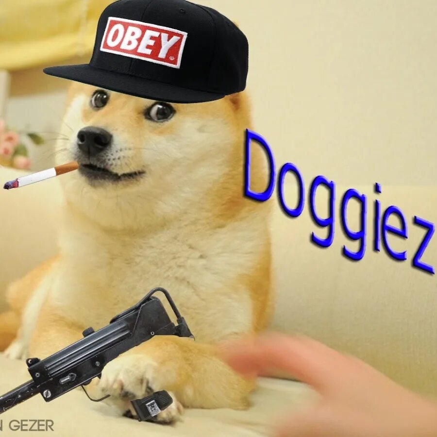 Собака с пистолетом мем Пин от пользователя Martina на доске MEMES Мемы