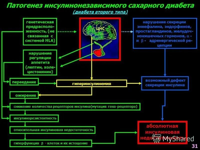Сахарный диабет 2 типа инсулиннезависимый. Инсулиннезависимый сахарный диабет механизм. Патогенез инсулиннезависимого сахарного диабета. Инсулинонезависимый сахарный диабет патогенез. Сахарный диабет.