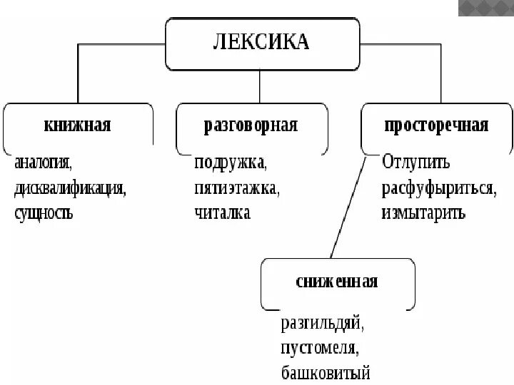 Виды лексики. Виды лексических. Разряды лексики. Типы лексики в русском языке.