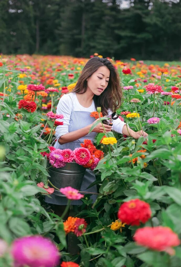Extra flowers