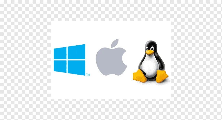 Подсистемы linux. Виндовс линукс макос логотипы. linux логотип. windows macos linux. виндовс и линукс.