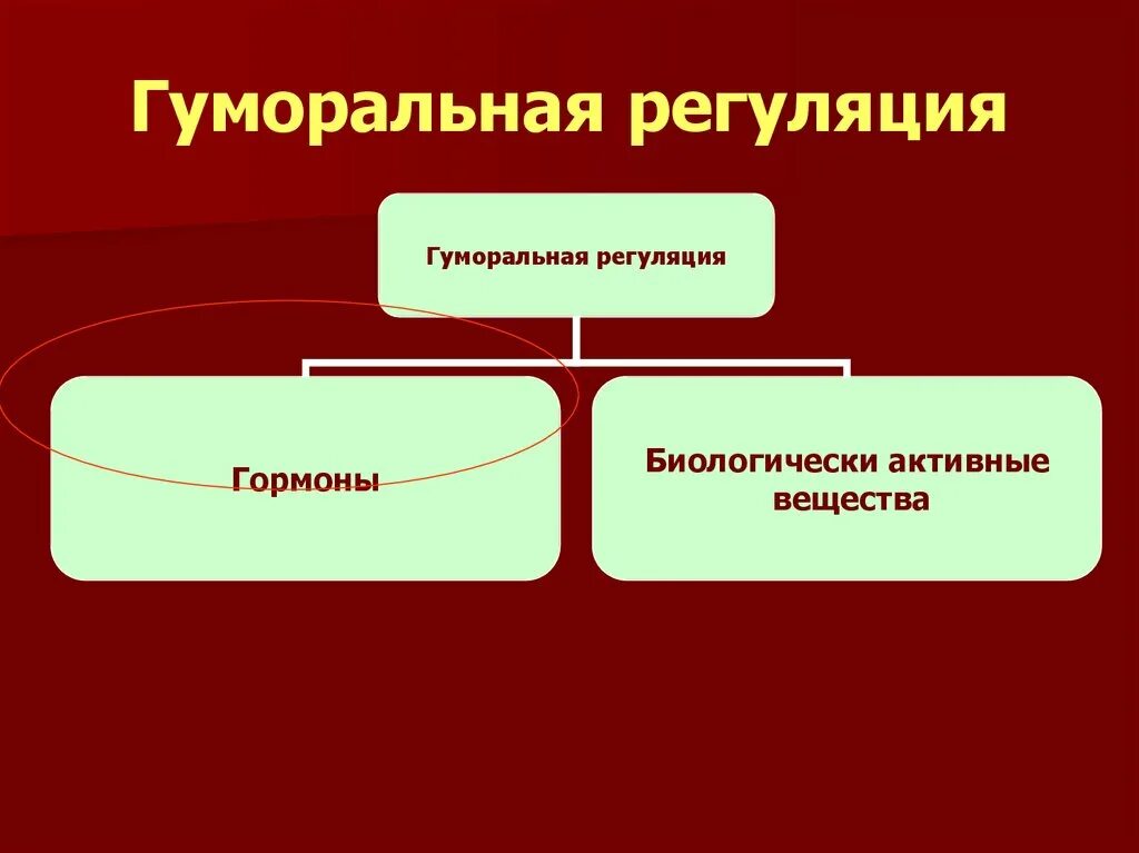 Гумоллярная регуляция. Гуморальная регуляция гуморальная. Гуморальная регуляция двигательной активности осуществляется:. Местная гуморальная саморегуляция. Гуморальные реакции организма