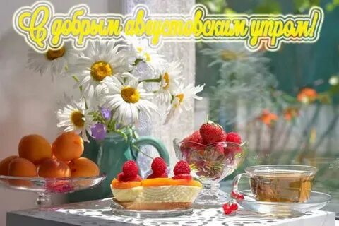 Видео с добрым утром августа