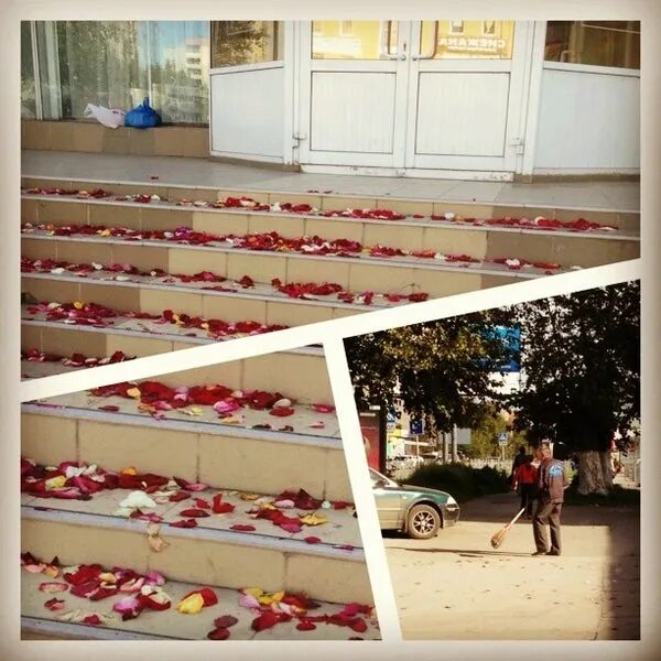 Сотрудники загса в бердске. Бердск загс фото. Регистрация брака в бердске. Загс города бердска. Зал бердск загс.