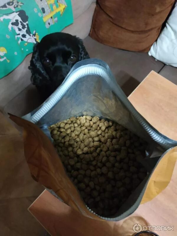 сухой корм. собачий корм гранулы. гранулированный корм для собак. собачий корм сухой гранула. Monge размер гранул корм для собак.