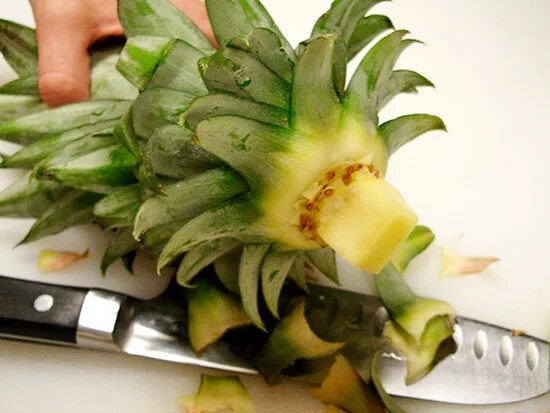 Вырастить ананас из верхушки. Вырастить ананас дома из верхушки. Укоренить ананас. Вырастить ананас дома. Пророщенный ананас.