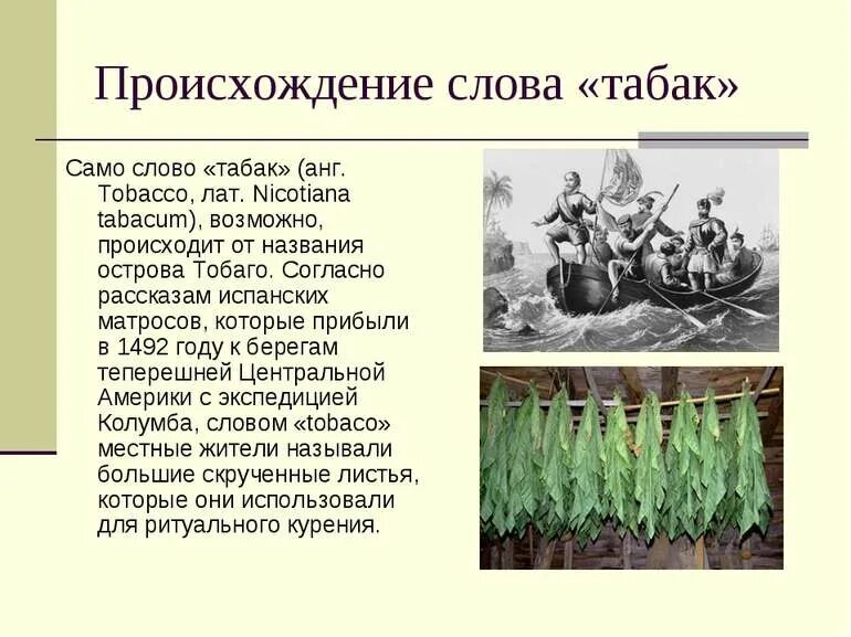 Слово табака. Слово табака. Табачный магазин вывеска. Слово табака. История происхождения табакокурения.