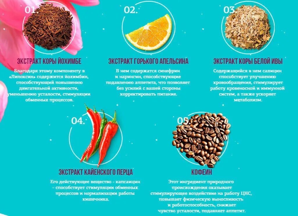 Еда для похудения отзывы. Липоксин капсулы для похудения. липоксин - средство для похудения. таблетки для похудения липоксин. таблетки для похудения липоксин капсулы.
