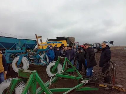Альфа бузулук