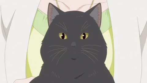 She and her cat