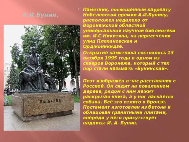 Литературный классик с памятником в воронеже. Бунин памятник в Воронеже. Воронеж Бунину памятник достопримечательности Воронежа. Плехановская улица Воронеж памятники. Литературные памятники Воронежа.