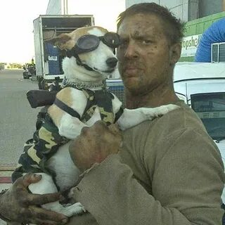Mad max собака