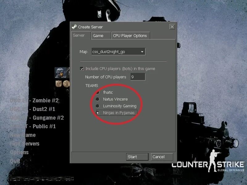 Имя cs go
