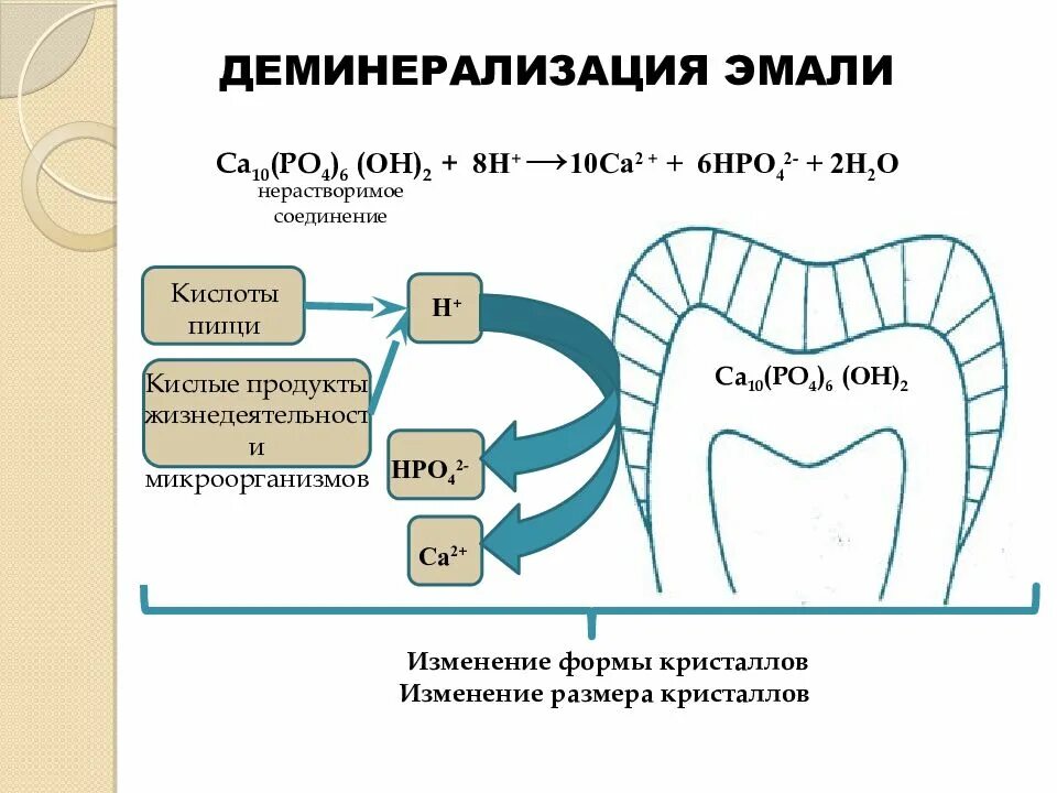 Зуб биохимия. Строение эмали зуба биохимия. Строение зуба эмаль дентин цемент. Биохимия тканей зуба презентация биохимия. Зуб биохимия.