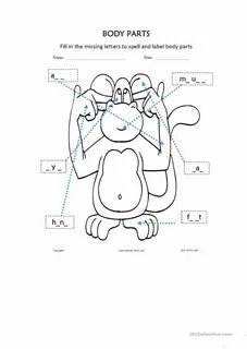 Match the parts of the body