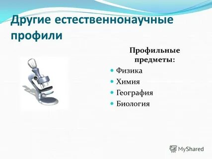 Литература гуманитарный профиль