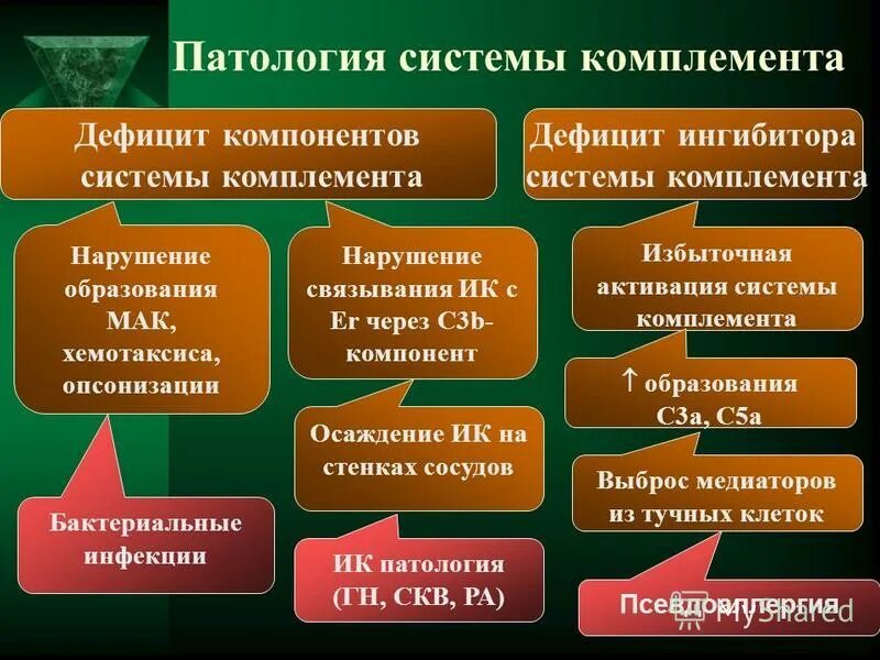 Патология обучение. Компонент системы комплемента с4. Патология системы комплемента. Дефекты системы комплемента. Дефицит компонентов системы комплемента.