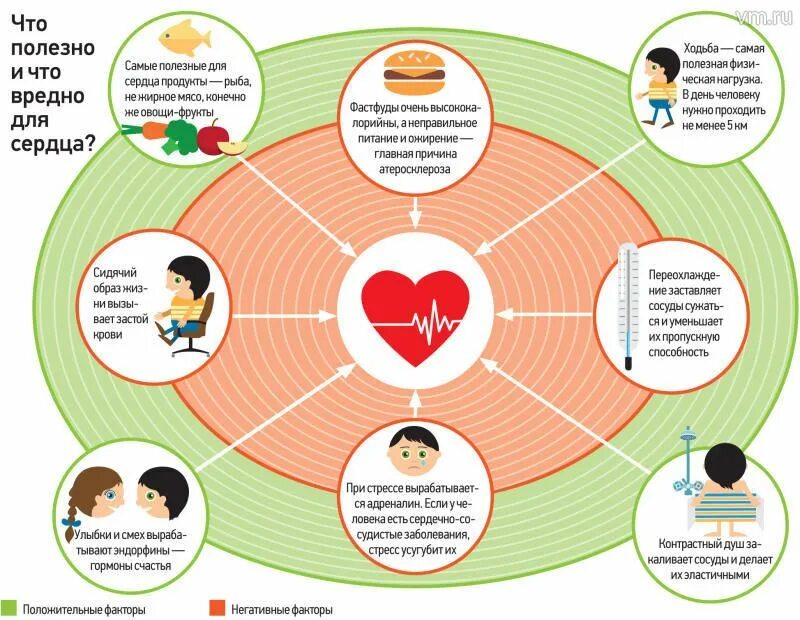 Польза утренней зарядки. Делай польза. Комплекс упражнений для зарядки. Делай польза. Делай польза.