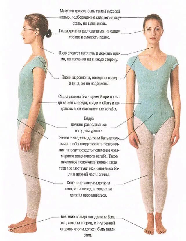 Правильная осанка. Правильная осанка у человека. Правильное положение тела. Правильное положение спины стоя. Какая часть тела увеличивается