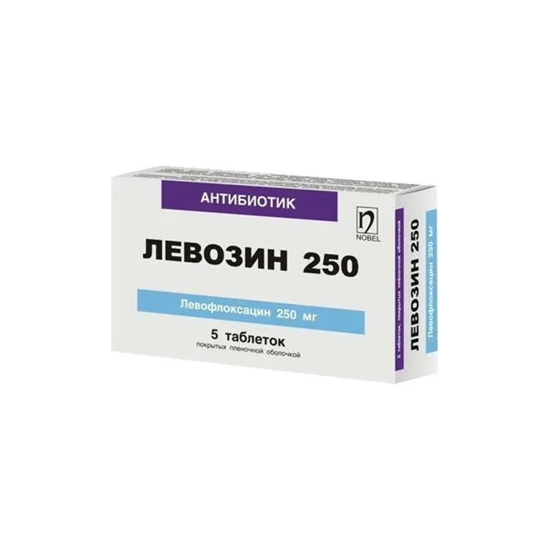 Мегасеф. Мегасеф