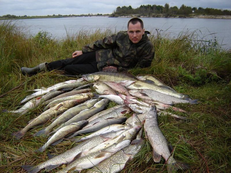 Рыба в реке Припять. Река Припять Чернобыль рыба. Рыбалка на припяти