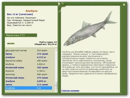 Морская рыба характеристика