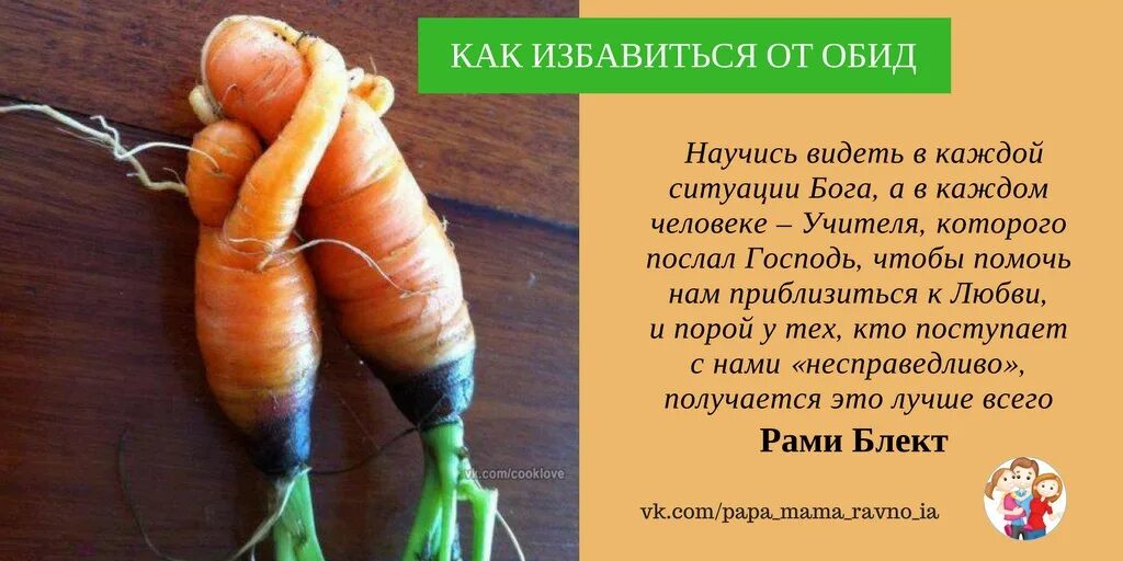 Как освободиться от обид. Совет как избавиться от обид. как избавиться от обидчика. совет одноклассникам как избавиться от обид. советы как избавиться от обид 4 класс.