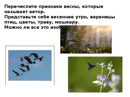 Подчеркните словосочетание весенний день медленно ехать