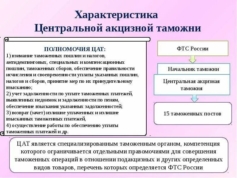 Одинцовский акцизный таможенный пост. Структура центральной акцизной таможни. Структура ФТС Центральная акцизная таможня. Центральная акцизная таможня цель задачи. Функции центральной таможни.