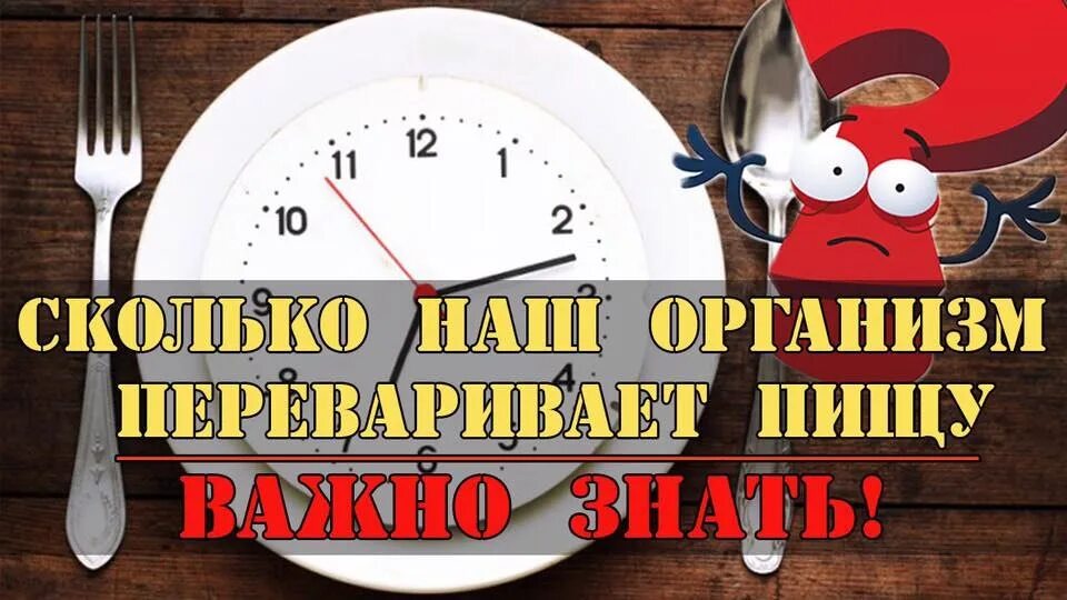 Сколько пища переваривается и выходит. Время переваривания пищи. Время переваривания пищи в желудке. Сколько переваривается еда. Таблица времени переваривания продуктов в желудке.