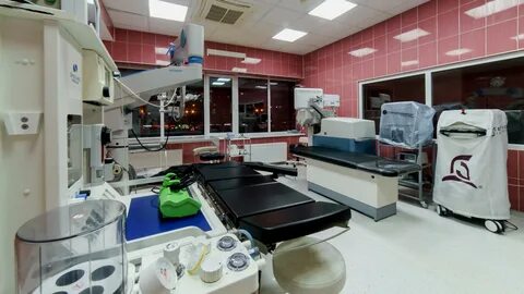 Визус салехард телефон